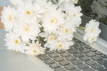 white Chrysanthemum flowers on keyboard laptop