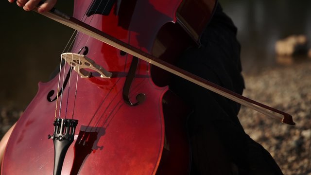 Serious playing the cello