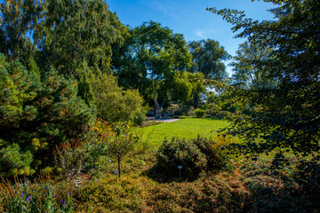 Zauberhafte Naturlandschaft - Freundschaftsinsel in Potsdam