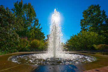 Bezauberner Springbrunnen - Freundschaftsinsel in Potsdam