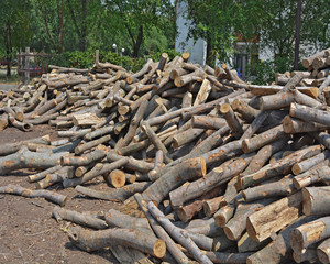 Firewood