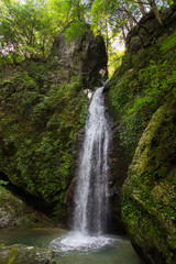 Fototapeta premium 高知県大豊町 竜王の滝