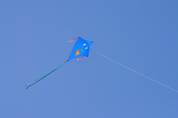 Kite flying in a blue sky
