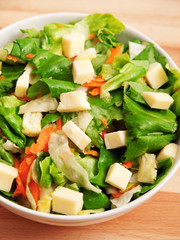 Green salad with cheese