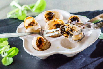 snails as gourmet food