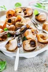 snails as gourmet food