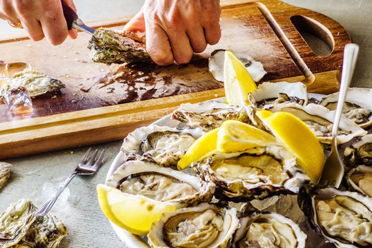 Opened Oysters