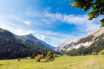 Tal im Mariazeller Land, Österreich