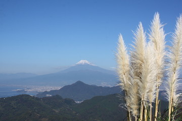 伊豆、沼津市葛城山から見た駿河湾と富士山