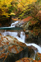 山梨県、西沢渓谷の紅葉と滝