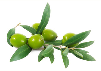 olive verdi su fondo bianco