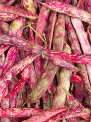 Red beans for shelling. Fagioli, borlotti.