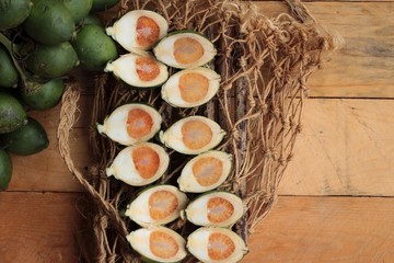Betel palm