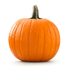 Pumpkin isolated on white background