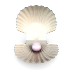 Shell pearl isolated on white background