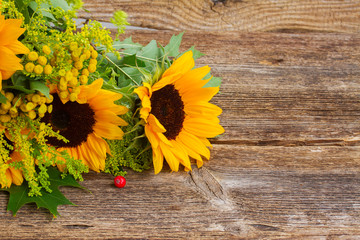 Sunflowers with green leaves 