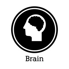 Brain design