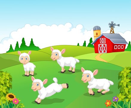 Cute cartoon sheep collection set with farm background 