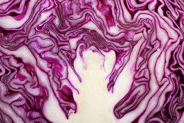 Obraz premium Red cabbage closeup