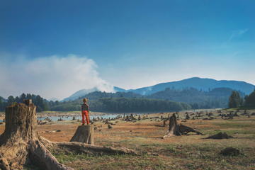 Rear view of a boy standing on a tree trunk in the countryside