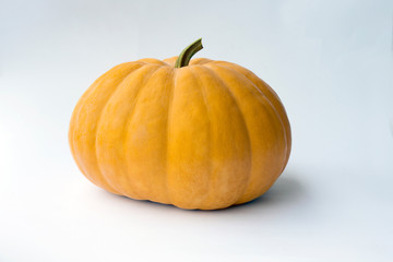 Yellow Pumpkin