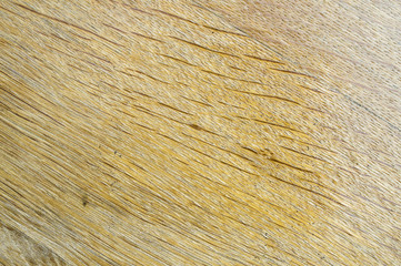 The varnished wood