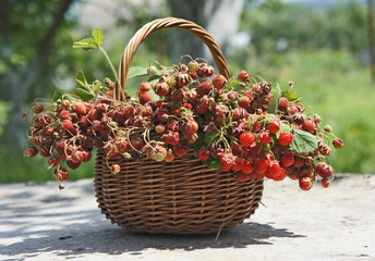 A punnet of ripe strawberries