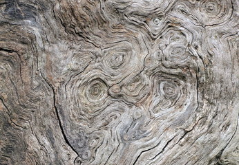 Verwittertes Holz