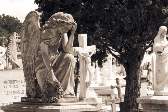 &aacute;ngel y tumbas