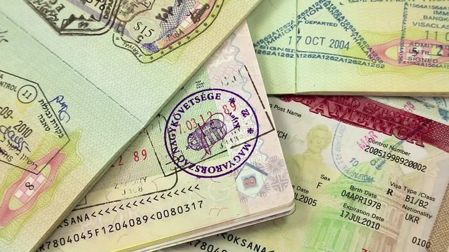 International passports with visas