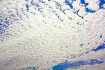 clouds, sky, sheep sky