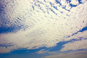 clouds,sky,sheep sky
