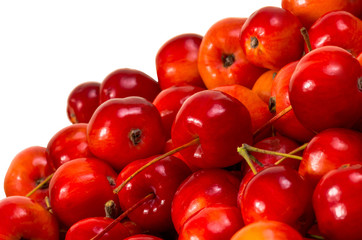 beautiful red paradise apples on an isolated