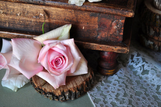 Rose with a vintage box is a beautiful symbol of love