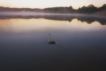Early, autumn morning