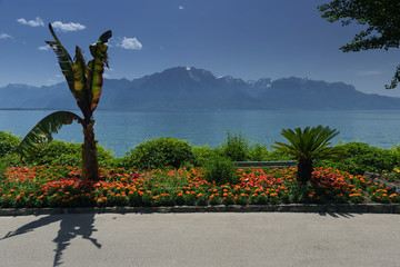 Montreux im Schweizer Kanton Waadt