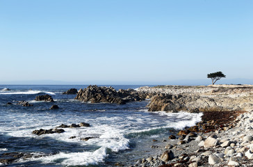 Fototapeta na wymiar Coast view, California