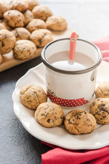 Chocolate cookies and milk