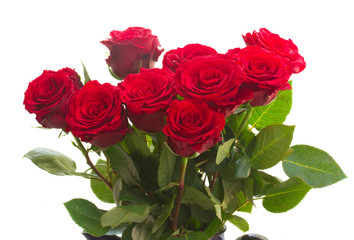 red roses in blue pot