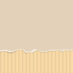 Torn cardboard vector background