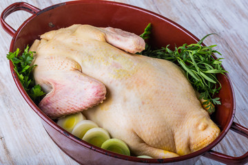 Raw duck carcass prepared for roasting