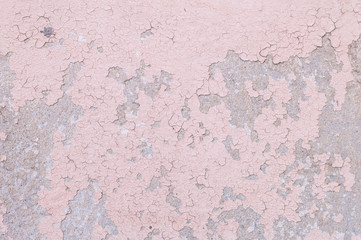 Obraz na płótnie Canvas Closeup pale color and peeling of painted pink cement wall texture background