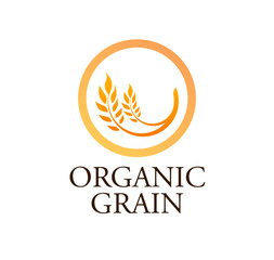 Logotype with caption, Ears of Wheat, Vector Illustration, Icon of Premium Quality Farm Product in gold color isolated on white