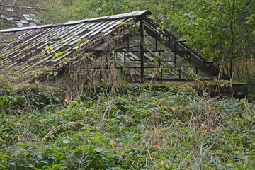 Old, abandoned greenhouse