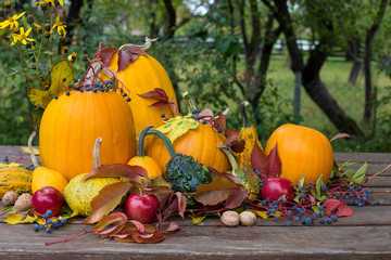 Fototapeta na wymiar autumn decoration
