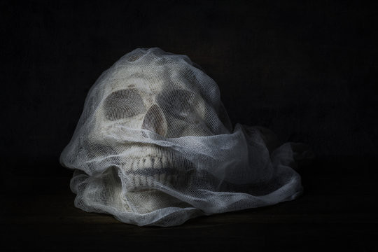 Still life photography with human skull on wood table, Fine art