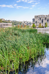 Fototapeta premium Parc des berges de Saône à Lyon