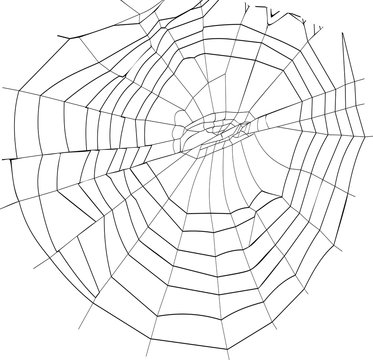 silhouette spiderweb