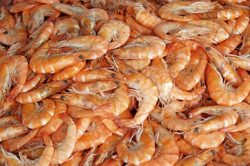 seafood hot steamed shrimp
