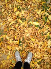 ноги на осенней листве